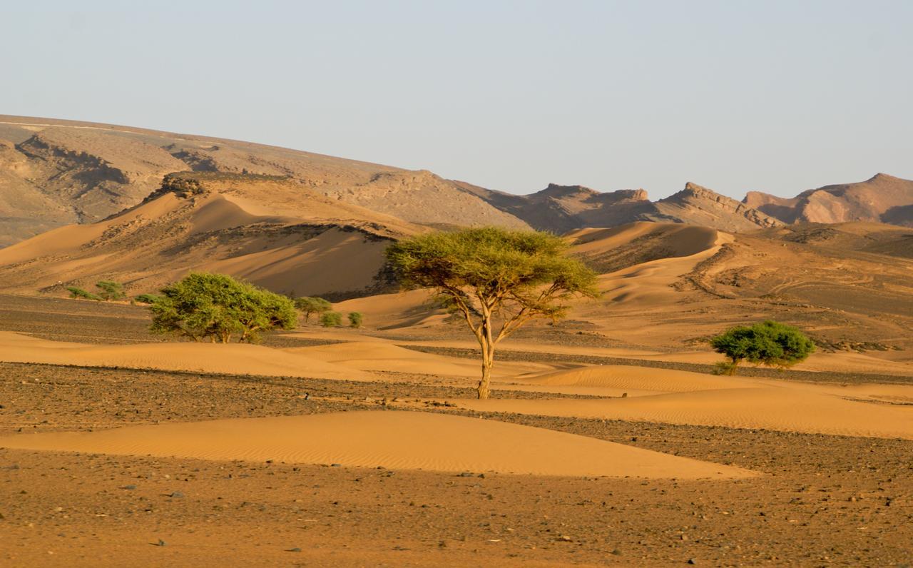 Riad Les Jardins De Tafraoute Foum Mharech Bagian luar foto
